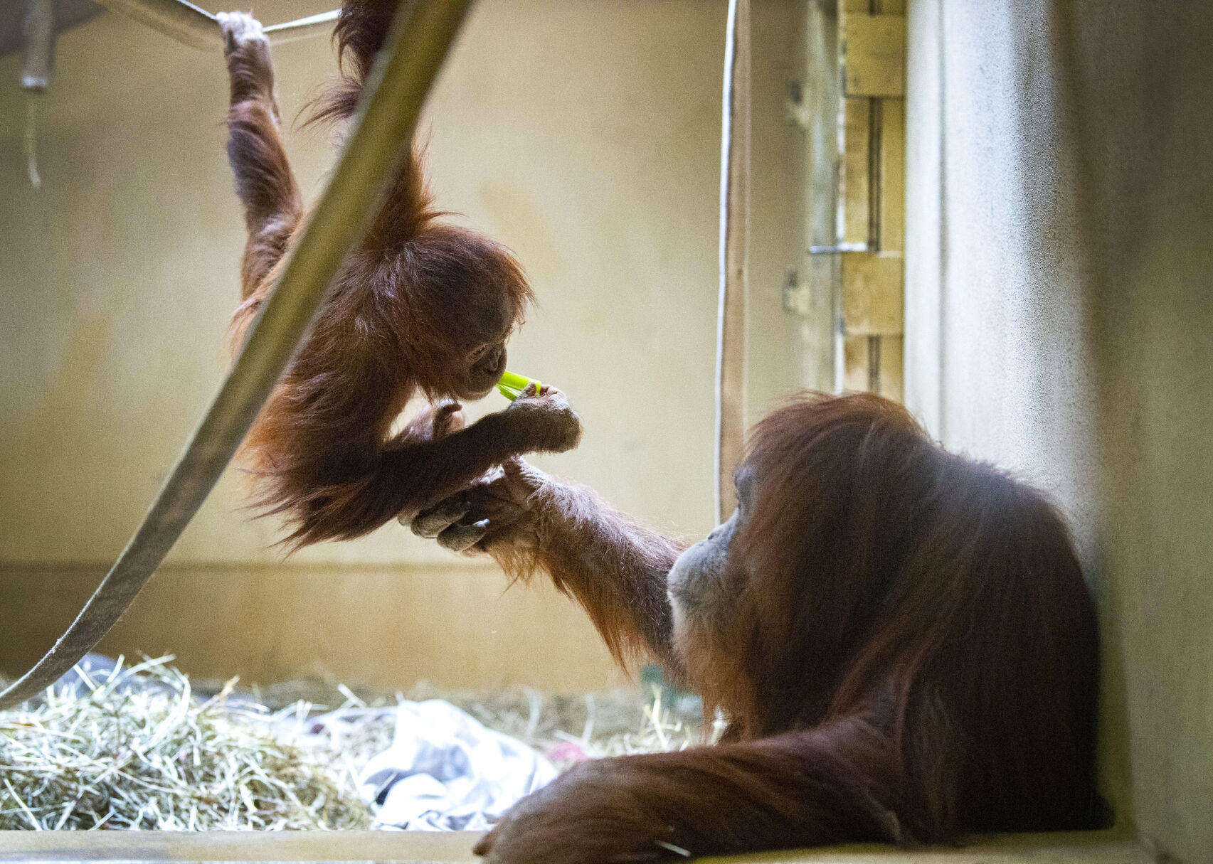 05_05_21 zoo mothers0573.jpg
